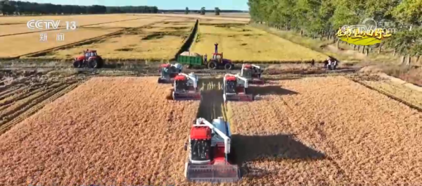 天盈财富 希望的田野“丰”光美 “订单农业”托起农户“稳稳的幸福”